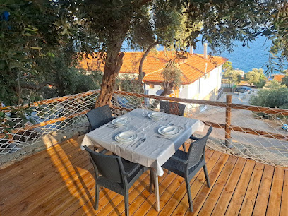 Akyaka Tiny House Tatil Yeri Kiralama